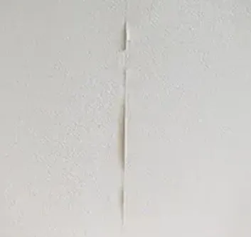 小さな破れ・傷